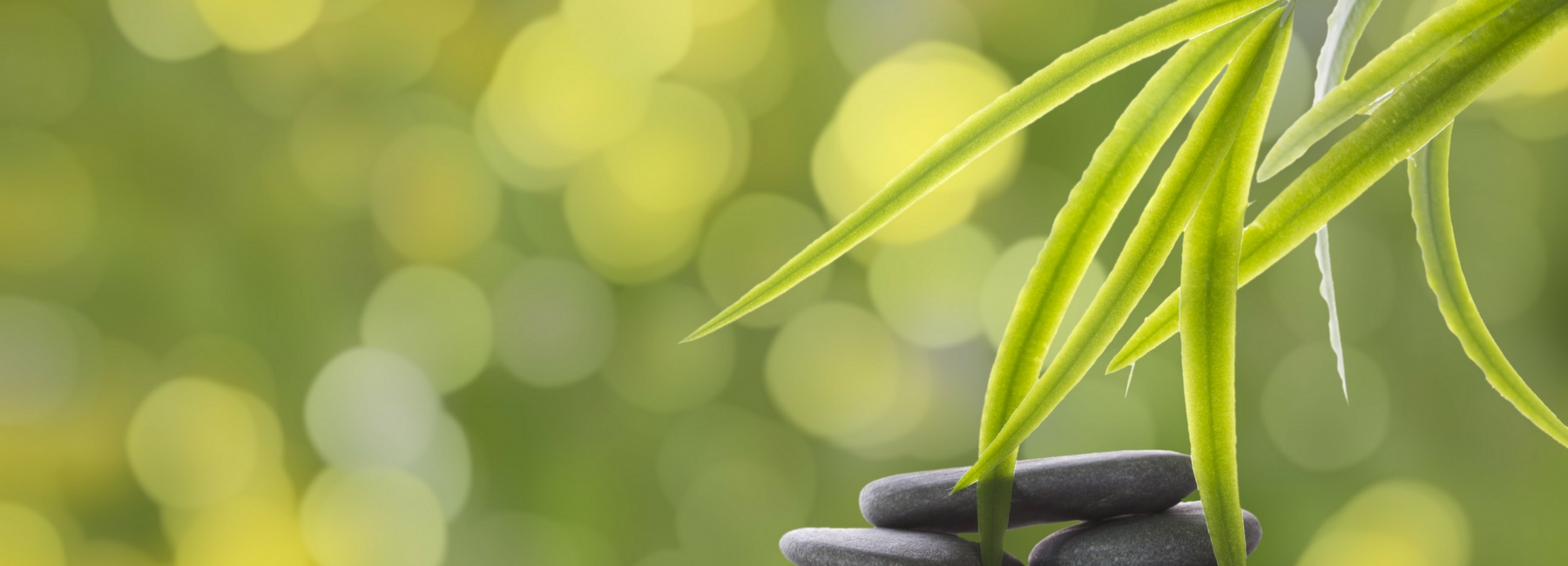 Alex Health Food Natural Background