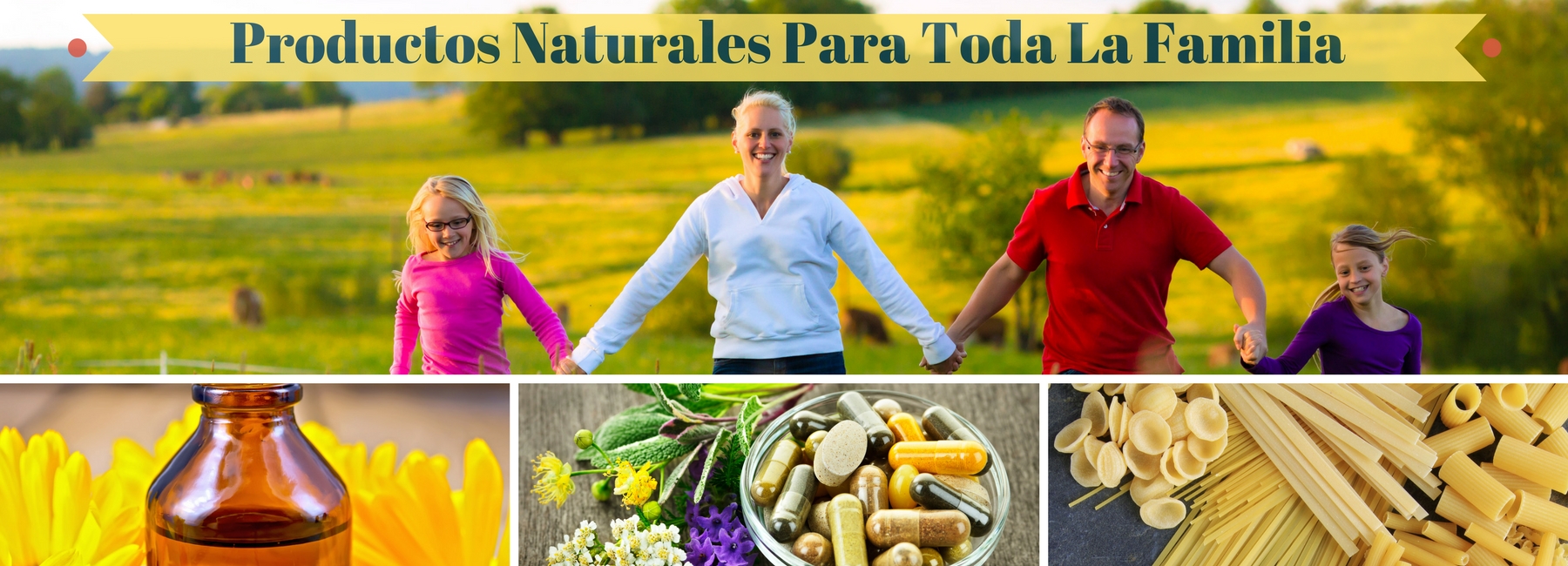 Alex Health Food Productos Naturales Para Toda La Familia